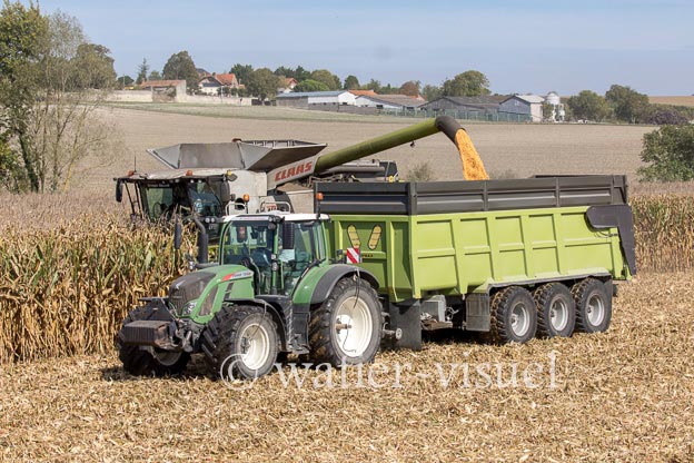 1207D878