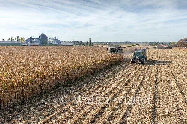 1207D900