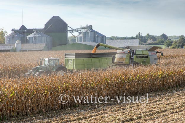 1207D909
