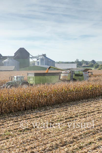 1207D910