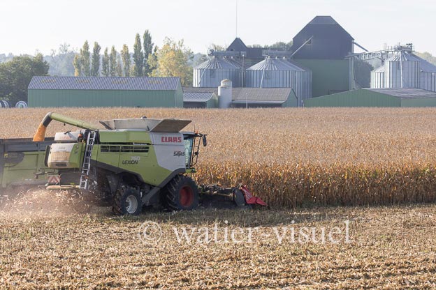 1207D950