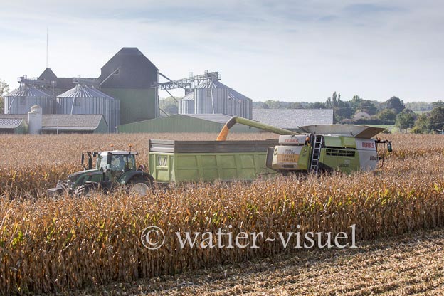 1207D960