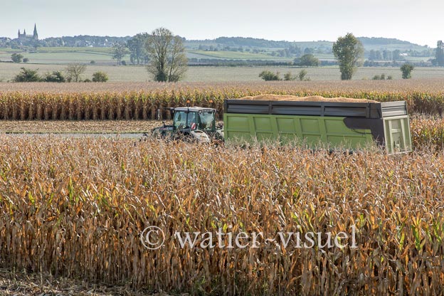 1207D976