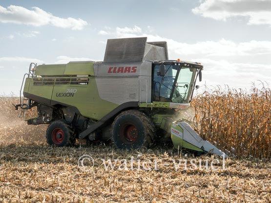 1211D251