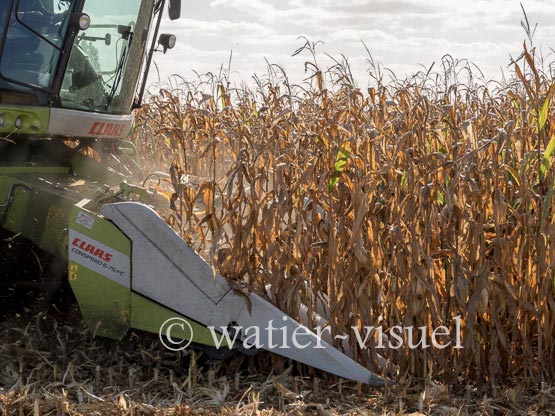 1211D254