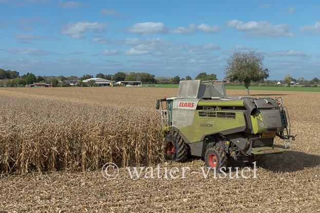 1211D266