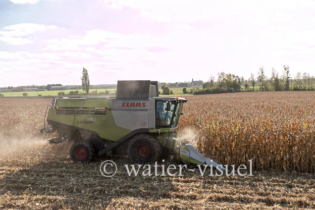 1211D297