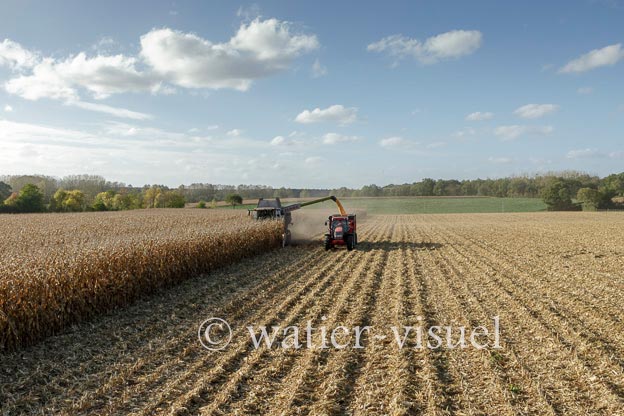 1211D504