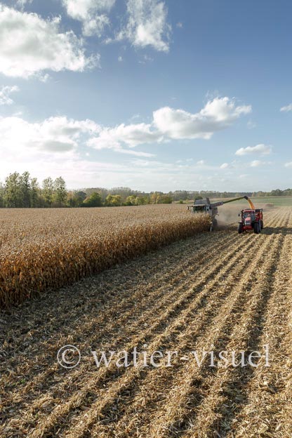 1211D506
