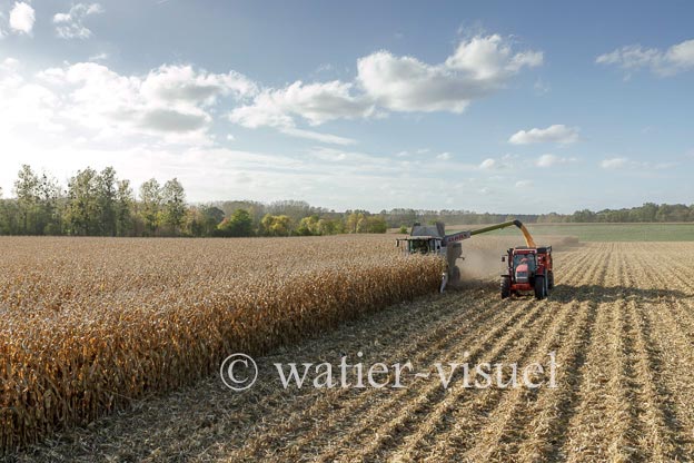 1211D507