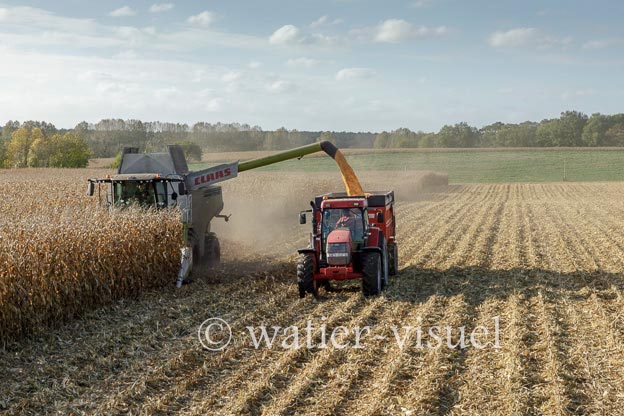 1211D508