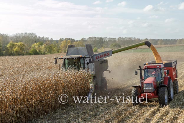 1211D509