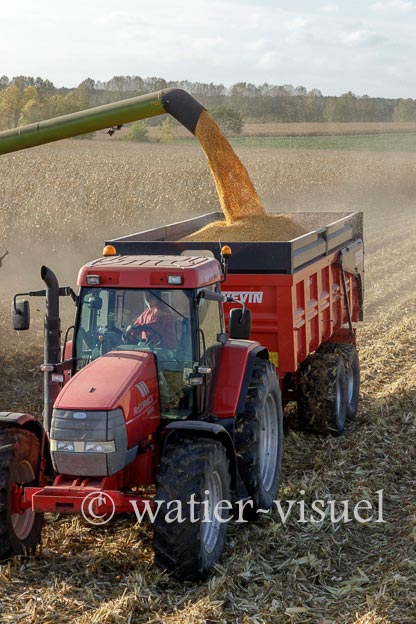 1211D512
