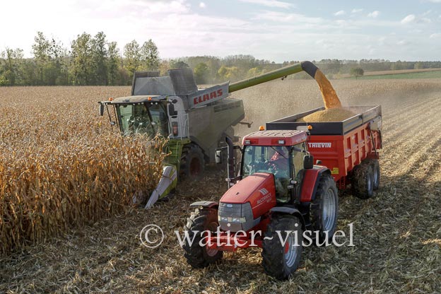 1211D513