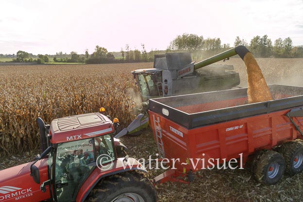 1211D539