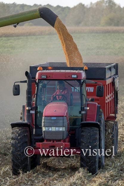 1211D575