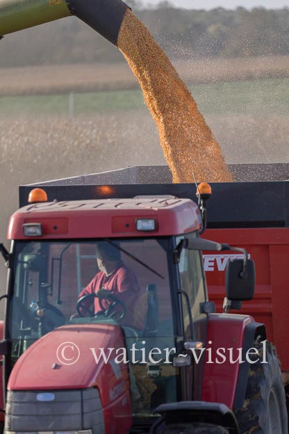 1211D576