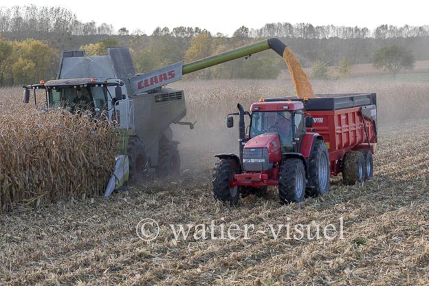 1211D586