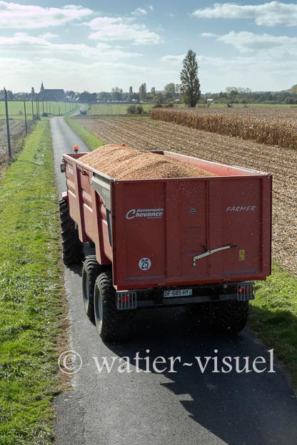 1211D599