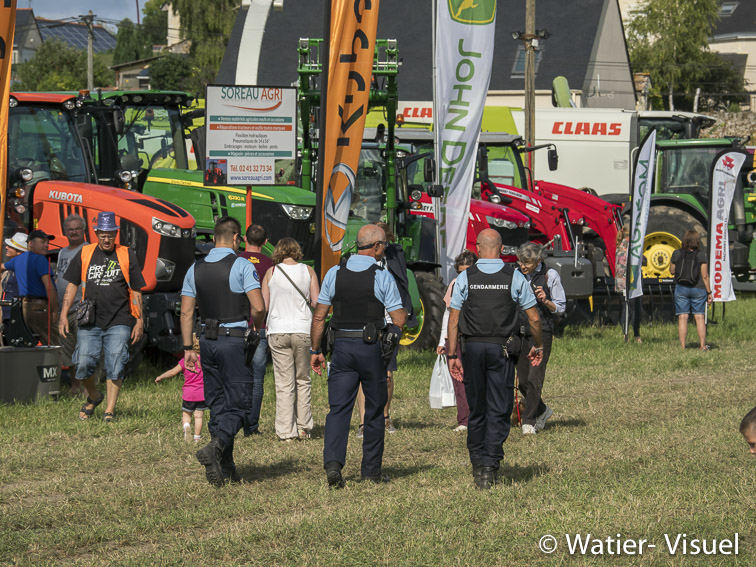 1199D310