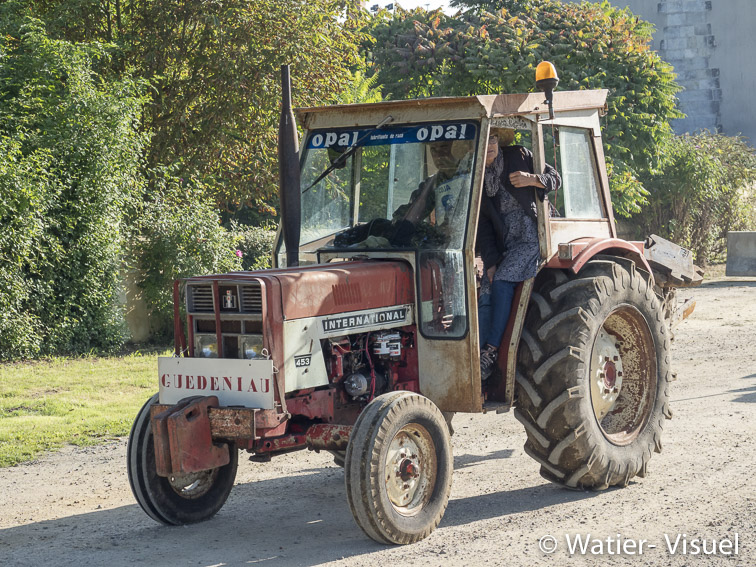 1199D490
