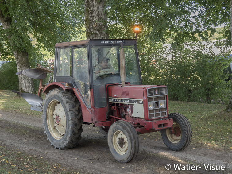 1199D561