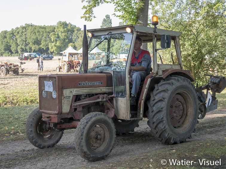 1199D595