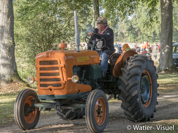1199D596