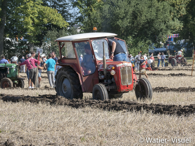1199D813