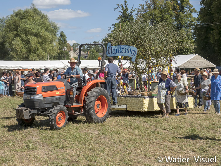 1200D234