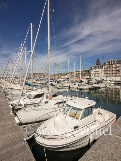 1158D528