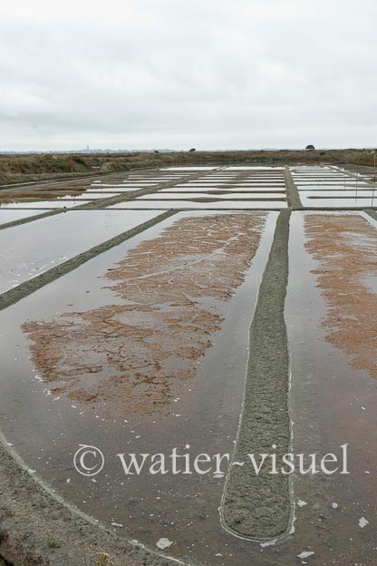 1206D278