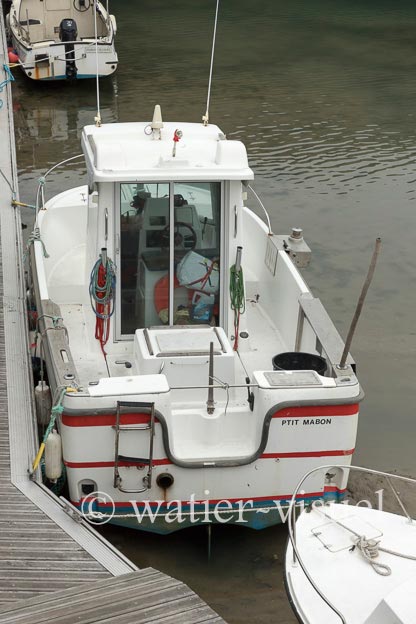 1206D336
