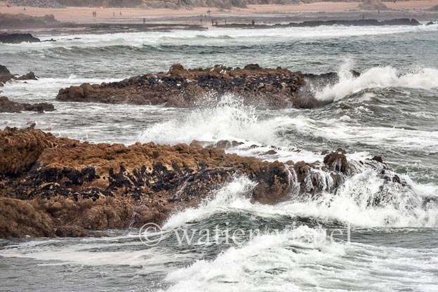1206D468