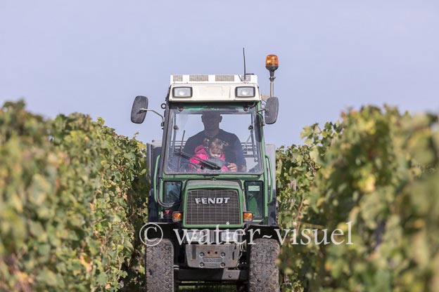 1208D158