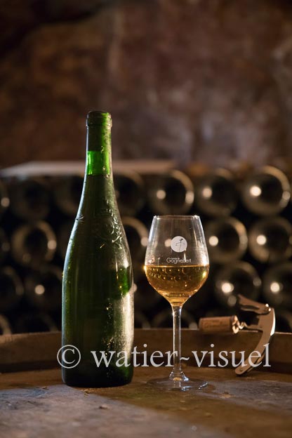 1211D124